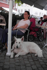 Frauchen & ich ( Coralie )